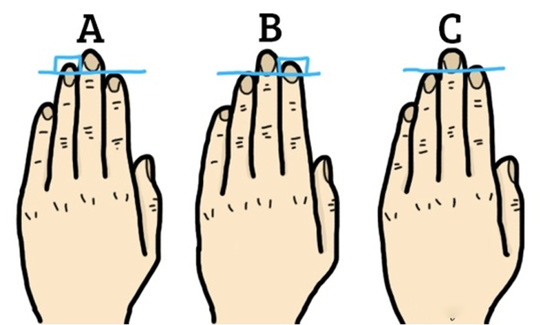 What Does Finger Length Reveal About You