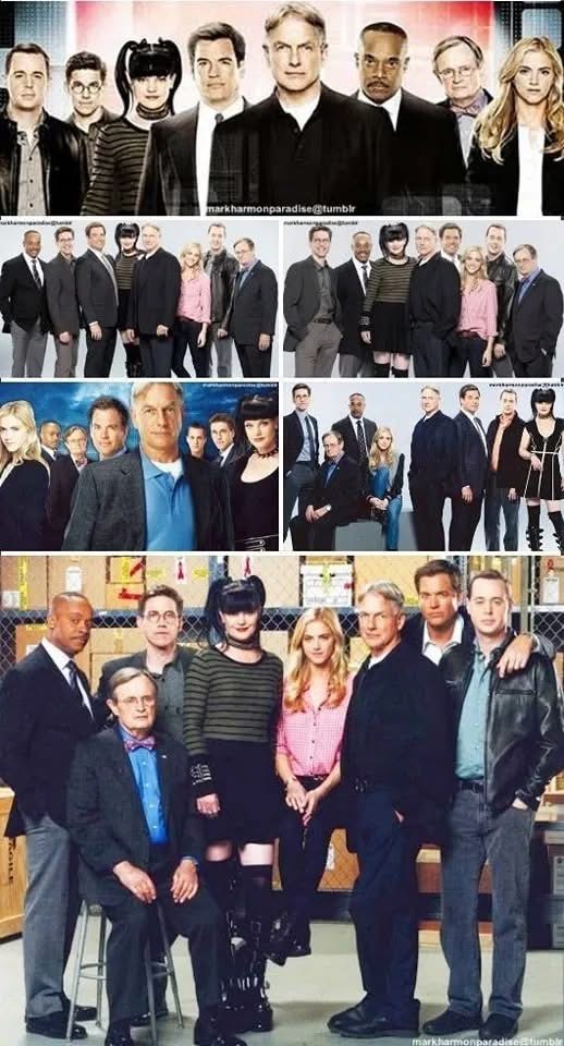 “New Faces, New Drama: NCIS Season 22 Cast and Storyline Revealed!”