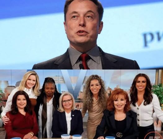 THRILLING: Elon Musk Called for a Boycott of The View, Labeling It “A Meeting Place for Ignorant Women.” The Entire Cast Responded Fiercely Immediately After…