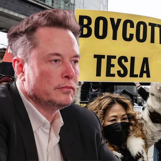 Tesla’s downfall fuels massive profits for investors, while Elon Musk watches his empire crumble.