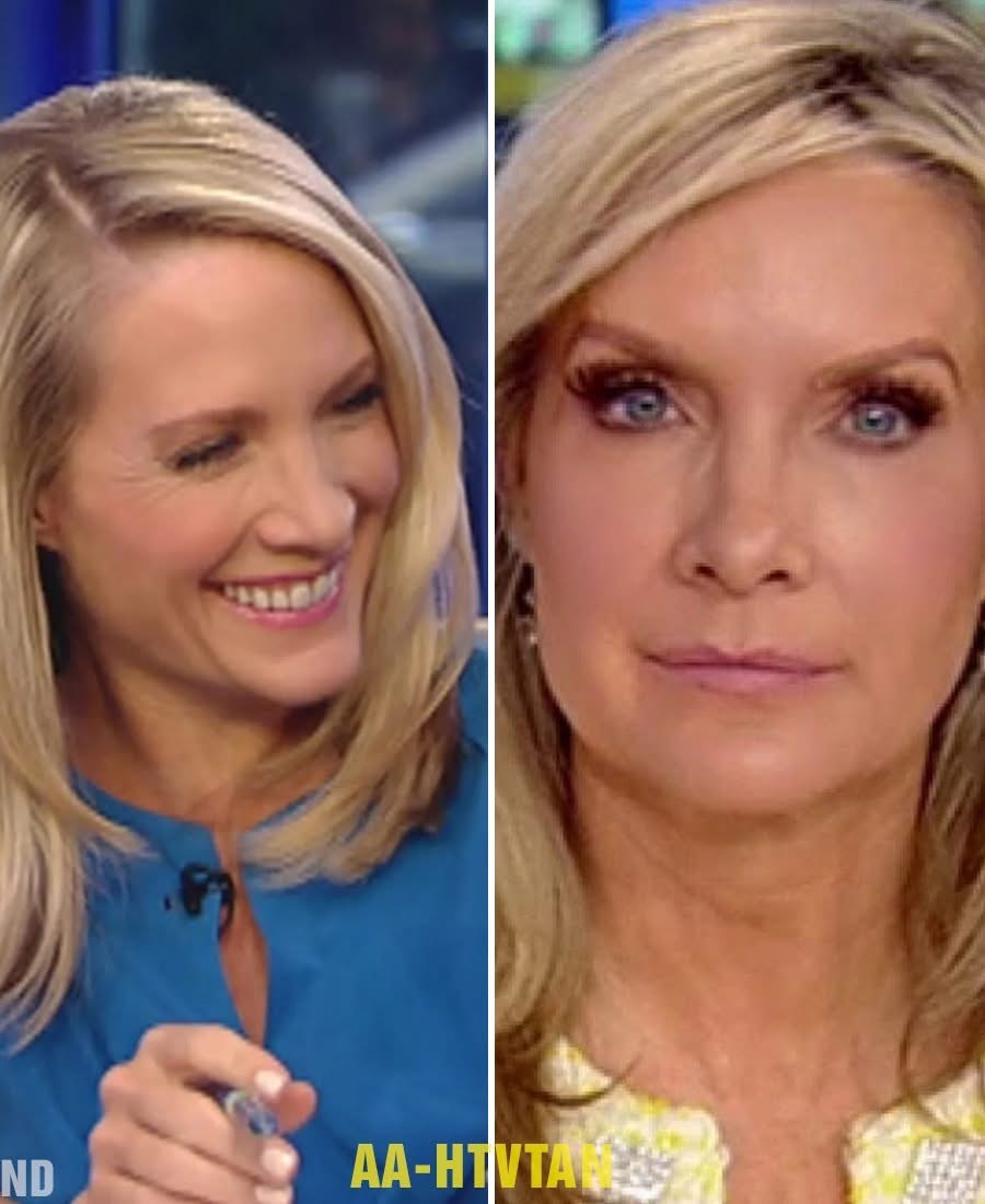 Dana Perino’s Shocking Confession: The Hidden Truth She Kept from Her Partner—A Chance Meeting That Changed Everything!