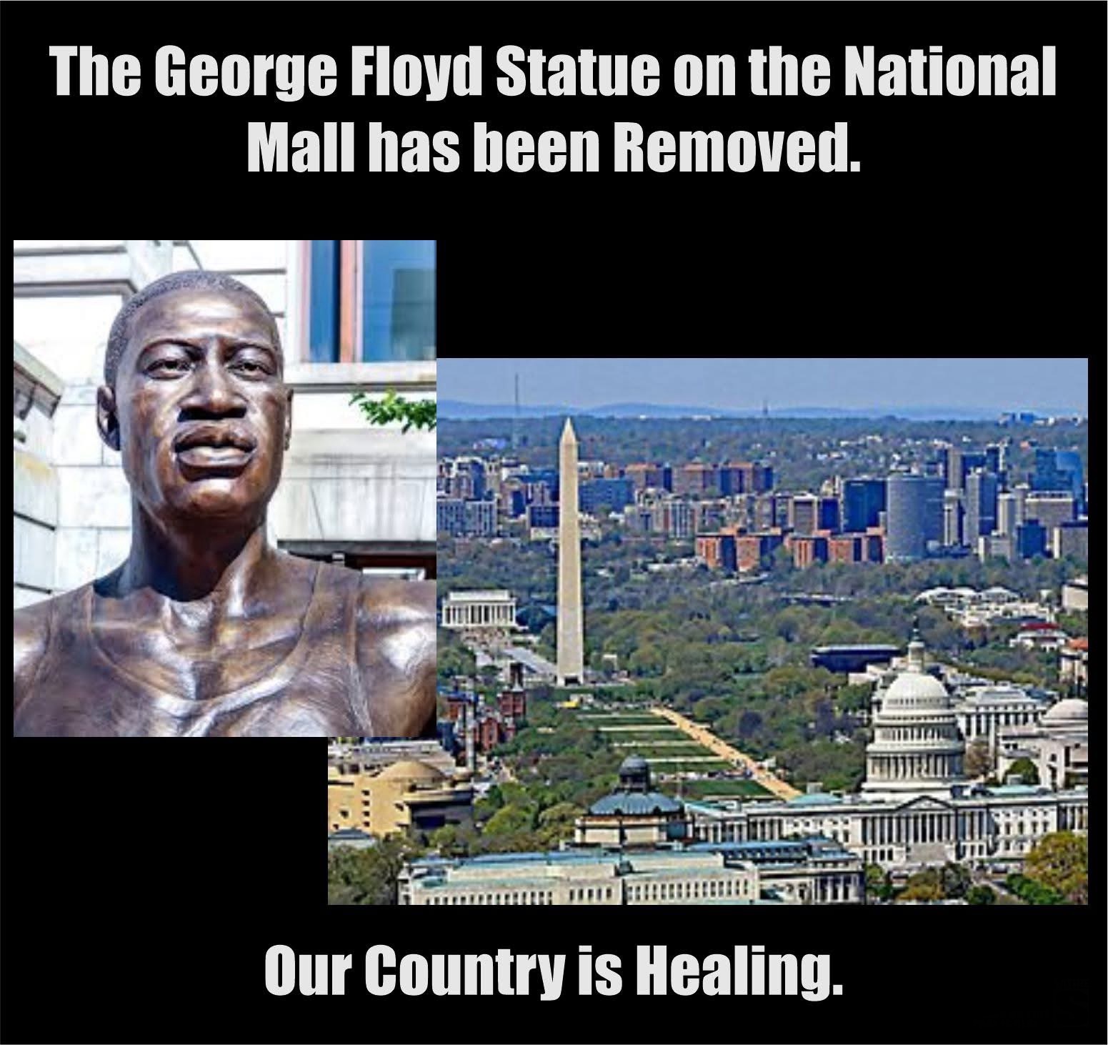 The George Floyd Statue ONT has been removed from lAr the National Mall.