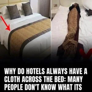 What’s The Purpose Of The Fabric Strip Across Hotel Beds