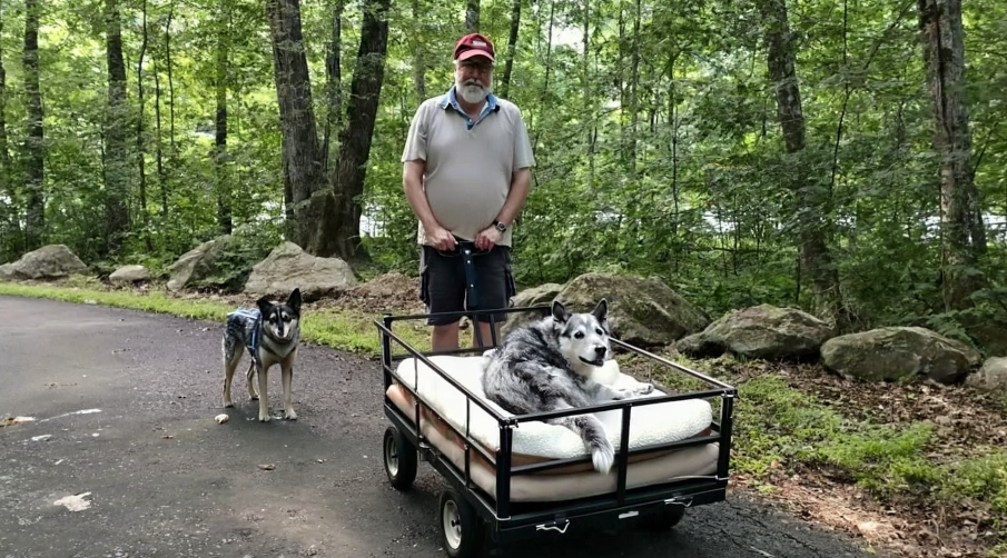 His Dog’s Suffering: The Unforgettable Answer That Changed My Perspective